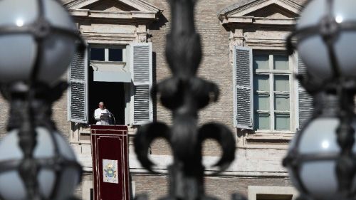 Ángelus dominical del 26 de noviembre