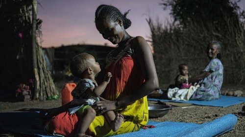 Äthiopien: Kirchen-Appelle zu Heuschrecken, Covid und Krieg