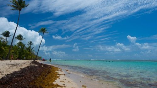 Segen für alle: Bischöfe französischer Überseegebiete skeptisch