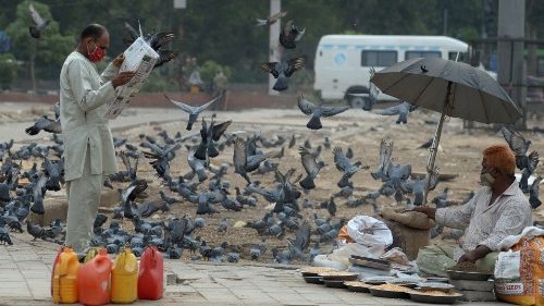 Indien: Gericht stoppt umstrittenes Öko-Tourismus-Projekt