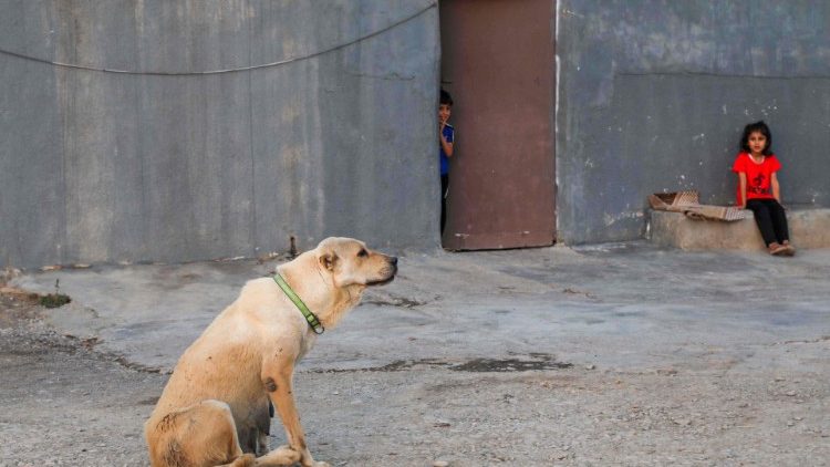 Flüchtlingscamp im Irak (Archivbild)
