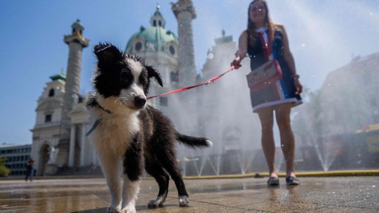 Sommer vor der Wiener Karlskirche (Agenturbild; Acrhiv)