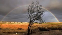 Die Negev-Wüste nimmt rund 60 Prozent der Staatsfläche Israels ein