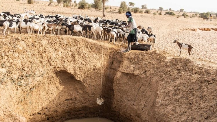Un pastor recoge agua para sus ovejas en un pozo improvisado, excavado en el lecho seco de un río, a las afueras de la aldea de Madina Torobe, en la región de Matam, el 12 de marzo de 2022.