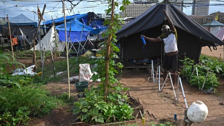 Mit Eigenanbau versucht ein Mann in Sri Lanka etwas gegen die Lebensmittelknappheit zu tun (Archivbild, 2022)