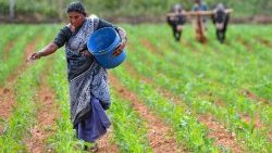 Bauern in Indien