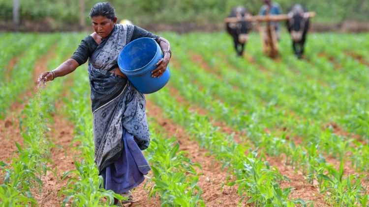 Injili ya mpanzi na maana yake katika maisha ya waamini