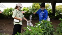 நெகிழிகளை அகற்றும் வியட்நாம் மக்கள் 