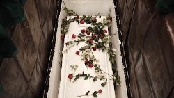 Blumen in einem Sarg