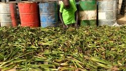 Klimawandel betrifft ausgerechnet die ärmsten Länder am meisten. Hier: Südsudan