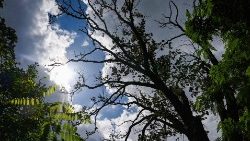 La gira visibilizará las consecuencias de la minería extractiva y propondrá alternativas sostenibles.