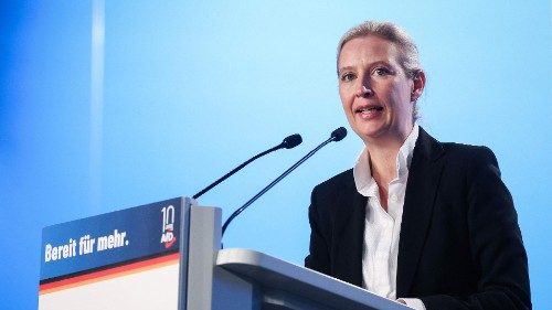 D: Komplexität der Gesellschaft stärkt AfD