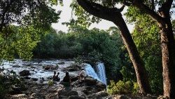 La foresta amazzonica copre circa sei milioni di chilometri quadrati distribuiti in nove Paesi sudamericani, con quasi il 60% situato in Brasile