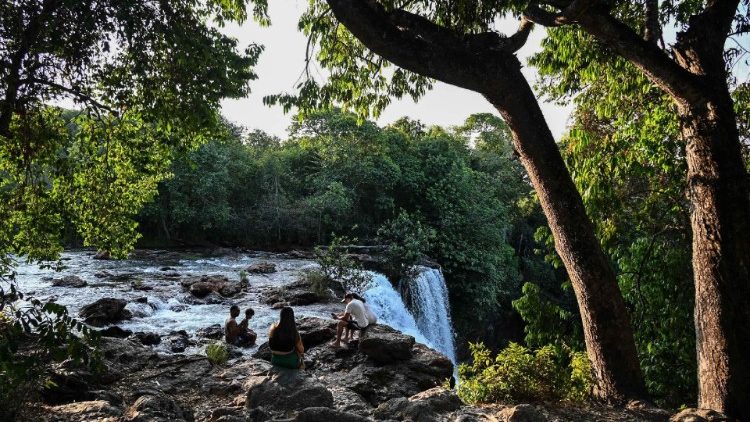 La foresta amazzonica copre circa sei milioni di chilometri quadrati distribuiti in nove Paesi sudamericani, con quasi il 60% situato in Brasile