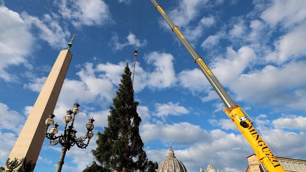 Калядная яліна прыбыла на плошчу святога Пятра