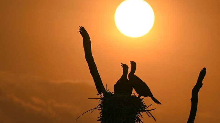 Kristo Yesu ni Nuru ya uzima wa milele