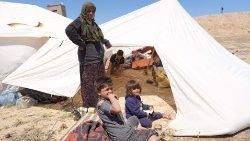 Desplazados palestinos