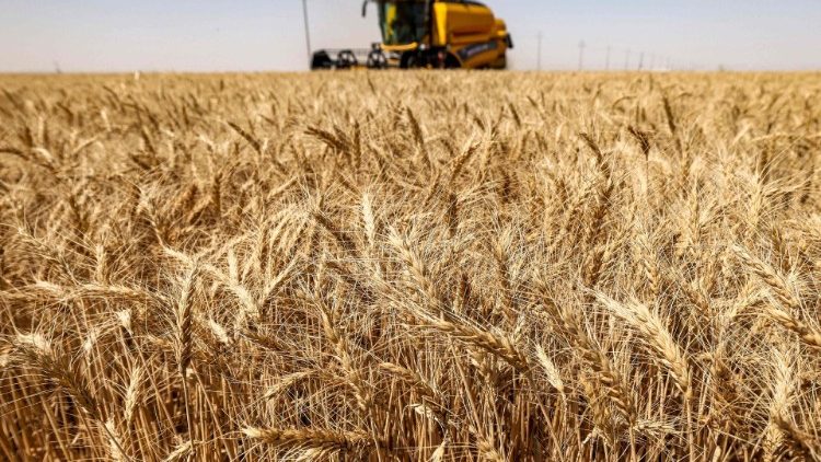 Landwirtschaft (Symbolbild)