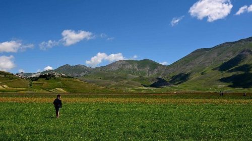 La cura del Creato &egrave; una questione teologica 