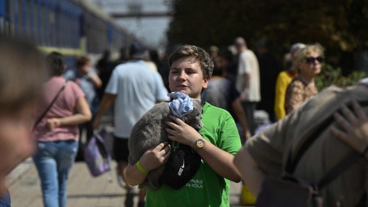 Um evacuado carrega um gato antes de embarcar em um trem de evacuação em um local não revelado na região de Donetsk em 26 de agosto de 2024, em meio à invasão russa na Ucrânia. (Foto de Genya SAVILOV / AFP)