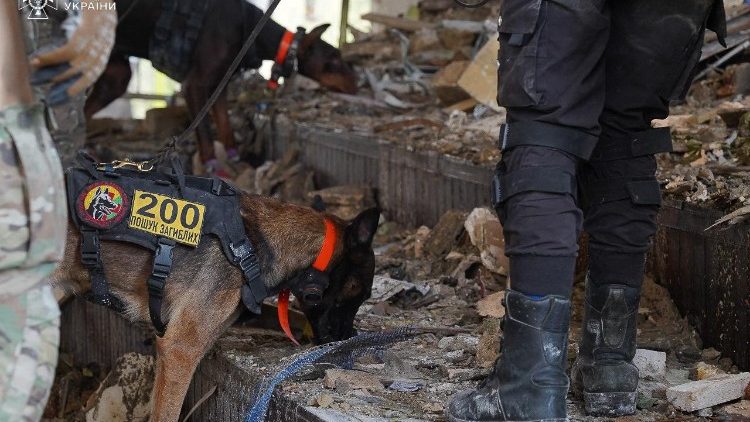 Foto de folheto tirada e divulgada pelo serviço de emergência ucraniano em 5 de setembro de 2024 mostra socorristas ucranianos e seus cães trabalhando no instituto de comunicações militares em Poltava, leste da Ucrânia, dois dias depois de ter sido atingido por mísseis. Photo by Handout / UKRAINE EMERGENCY MINISTRY PRESS SERVICE / AFP).