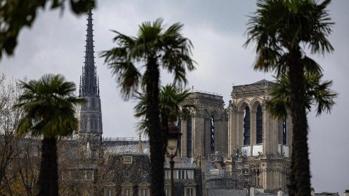 Frankreich:  Weitere Details zur Wiedereröffnung von Notre-Dame bekannt