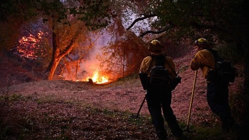 Св. Отец молится о жителях Лос-Анджелеса