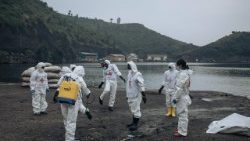 Watu wa Msalaba Mwekundu wakikusanya miili ya watu waliouawa nchini Congo kutokana na vurugu.