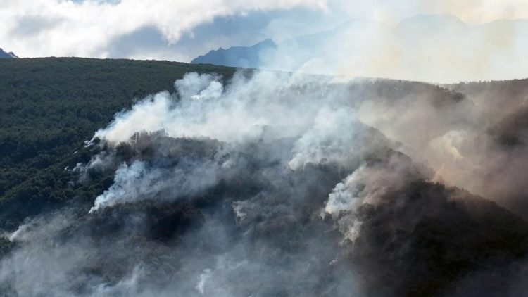 Verheerende Brände in Argentinien haben bereits mehr als 3.000 Hektar Land zerstört
