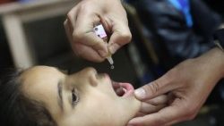 ഗാസയിൽ  ഒരു കുഞ്ഞിന് പിള്ളവാത പ്രതിരോധമരുന്നു നല്കുന്നു.