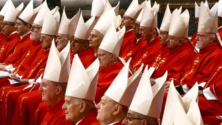 The College of Cardinals gathered for the fifth Novemdiales Mass for the late Pope Francis