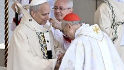 Ni Mapokeo ya Kanisa kwamba, Sikukuu ya Mtakatifu Agnes, wanabarikiwa kondoo ambao manyoya yao yatatumika kutengenezea Pallio Takatifu.