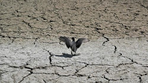 D: Klimawandel als Fluchtursache nicht vernachlässigen