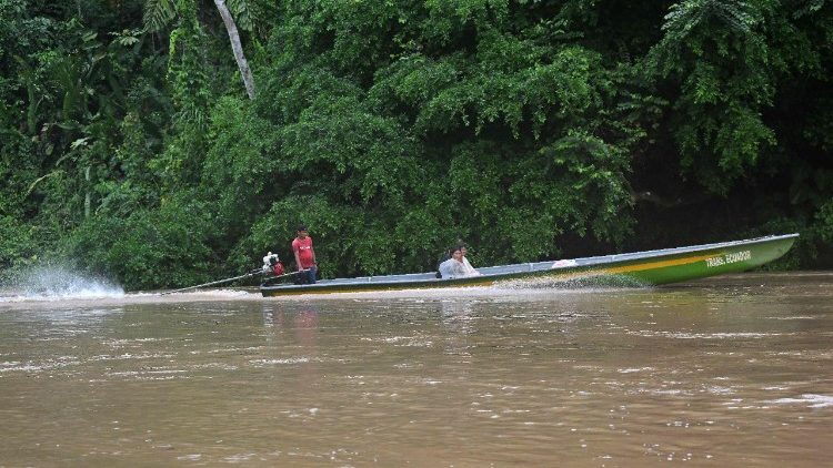 अमाजोन जंगल