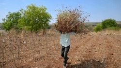 Effetti dei cambiamenti climatici in India