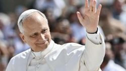 Папа падчас агульнай аўдыенцыі ў Ватыкане