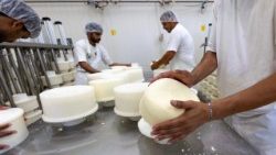 உணவு தயாரிப்பு