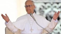 திருத்தந்தை 14-ஆம் லியோ புதன் மறைக்கல்வி உரையின்போது 