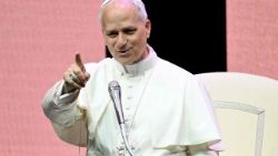 सन्त पापा लियो 14 वें 