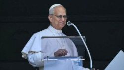 Der Papst bei seinem Angelusgebet