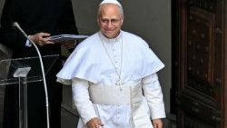 पोप लियो 14वें 