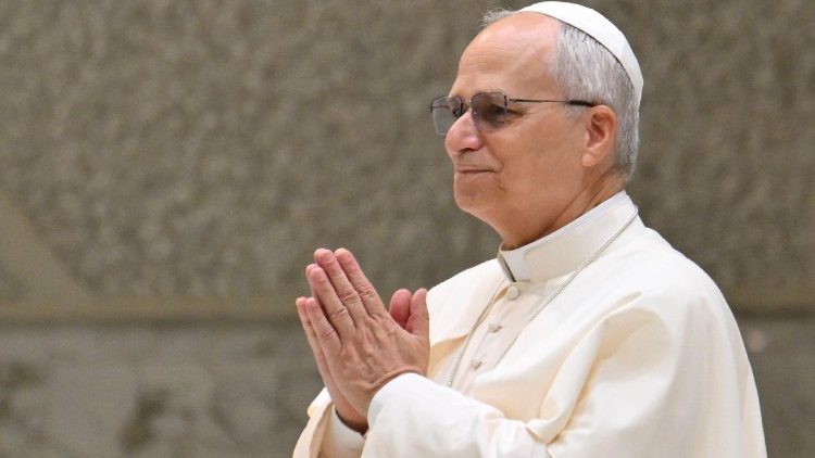 പൊതുകൂടിക്കാഴ്ചാവേളയിൽ ലിയോ പതിനാലാമൻ പാപ്പാ 