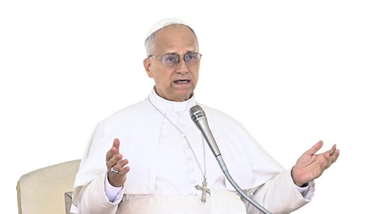 संत पापा लियो 14वें 