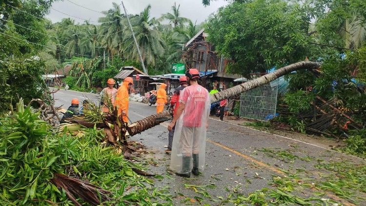 台風による倒木の撤去作業　2025年9月26日　フィリピン・マスバテ州パラナス　