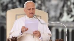 ലിയൊ പതിനാലാമൻ പാപ്പാ പൊതുദർശന പ്രഭാഷണം നടത്തുന്നു, വത്തിക്കാനിൽ വിശുദ്ധ പത്രോസിൻറെ ബസിലിക്കയുടെ ചത്വരത്തിൽ, 15/10/25