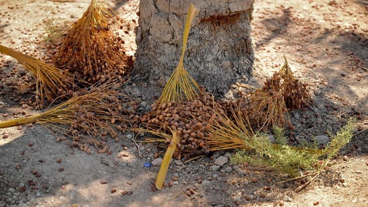 प्रतीकात्मक तस्वीर
