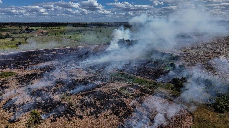Abholzung in Brasilien
