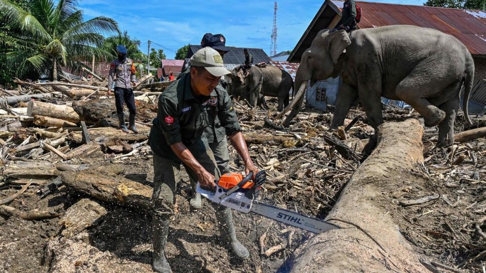 Mahouts riding Sumatran elephants help clear tree debris following flash floods in Meureudu, Pidie Jaya district, Indonesia's Aceh province on December 8, 2025. Officials in flood-hit parts of Indonesia reported shortages of food, shelter, and medicine as the death toll reached 950 on December 8 following weeks of heavy rain. (Photo by CHAIDEER MAHYUDDIN / AFP/Chaideer MAHYUDDIN / AFP)