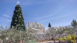 वेस्ट बैंक का इकलौता पूरी तरह से ख्रीस्तीय गांव तेबेह में ग्रीक मेलकाईट चर्च के खंडहर के पास क्रिसमस ट्री