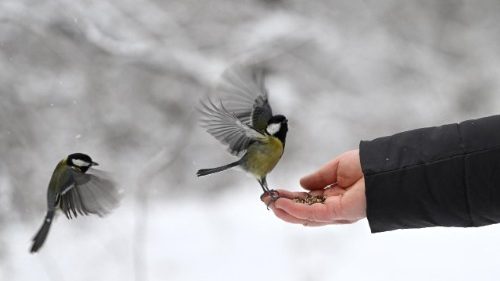 Ucr&acirc;nia: combater o frio com o calor do voluntariado